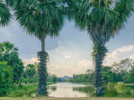 Water canal in the park by day at Sukhothai, Thailand