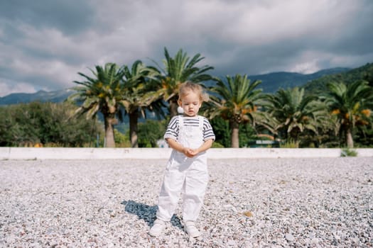 Little girl stands on the beach and looks at the pebbles in her hands. High quality photo