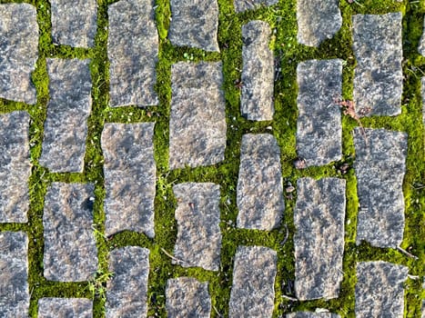 Cobblestone pathway with mossy growth and natural textures.