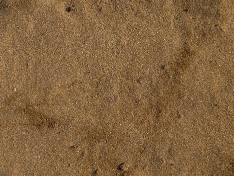 Golden brown sandy beach surface with small pebbles and subtle patterns.