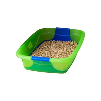 This is a green plastic cat litter tray that conveniently features a blue handle for easy transport and usage by pet owners