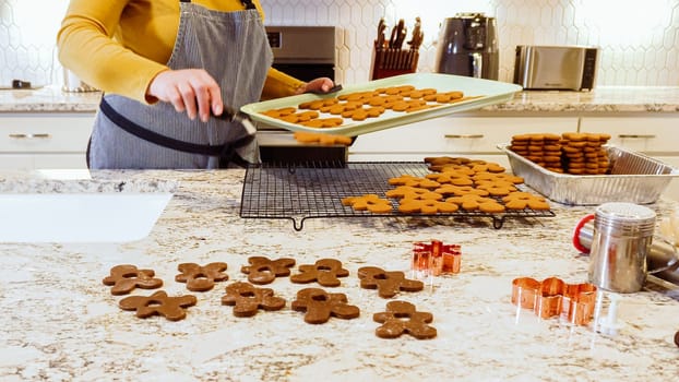 After baking to perfection, these delightful gingerbread cookies are now cooling gracefully on a wire rack, filling the modern kitchen with a warm and inviting aroma.