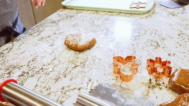 Using an adjustable rolling pin to roll out gingerbread cookie dough on the elegant marble counter in a modern kitchen, getting ready for festive holiday baking.