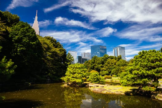Shinjuku Gyo-en is a large park and garden in Shinjuku and Shibuya, Tokyo, Japan.