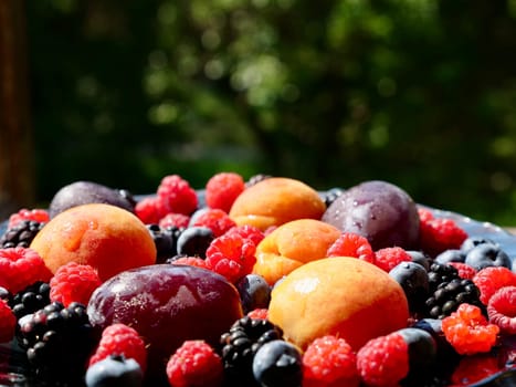 Colored plate of seasonal summer fruits apricot, plum, raspberry, blueberry, blackberry in garden, close up,