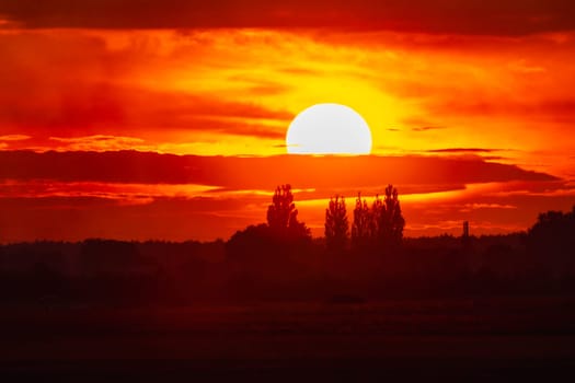 Beautiful cloudy red sunset with gigantic sun over big fields and trees seen by 600mm camera lens 