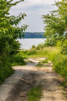 Long double path between high grass bushes and trees to big lake at cloudy morning