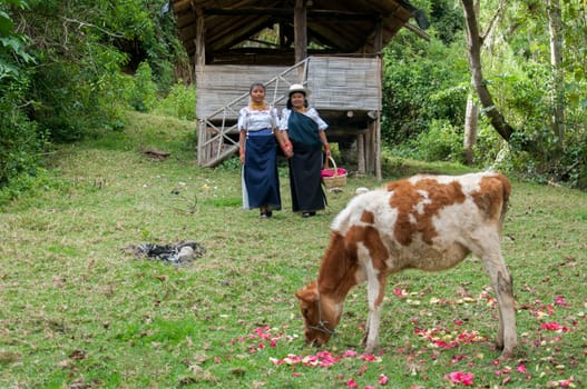 From the Amazon Crib to the Cow-Check: Indigenous Fam Bam in Action. High quality photo