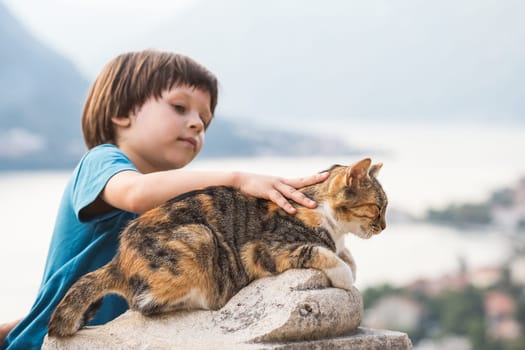 Child petting a Cat sitting on the stone wall of the ancient fortress of St. Ivan of the old city of Kotor and the Kotor Bay in Montenegro