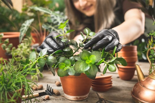 Happy woman wearing protective rubber gloves enjoying the process of planting houseplants into the clay terracotta flower pot. Urban Jungle and plant care concept