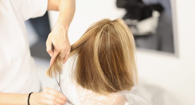 Woman hairdresser cuts hair with scissors in barbershop. Hairdresser holds lock of hair and comb and scissors in his hand between fingers closeup