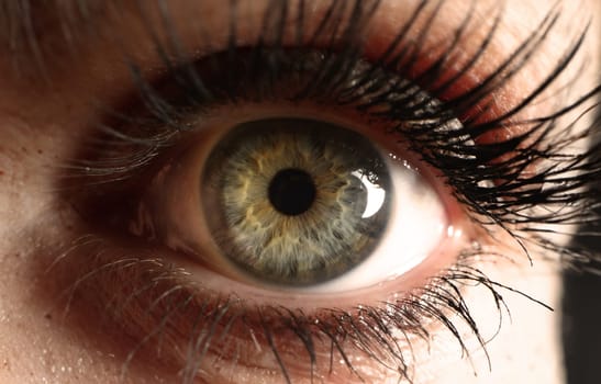 Beautiful iris of human eye gray green closeup. Female eye and eyelashes with mascara