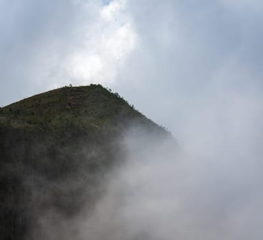 People on a foggy mountain summit, celebrating their accomplishment under cloudy skies. Ideal for text space.