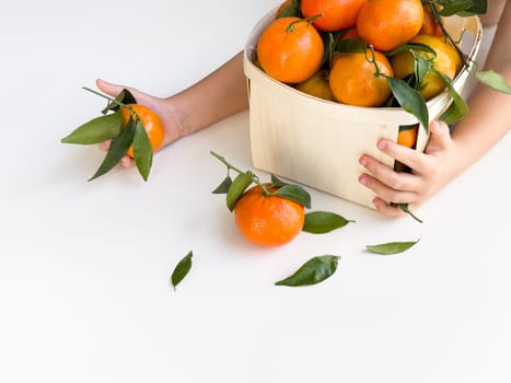 Child handling basket of fresh oranges on white background.