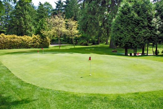 Overview of a golf field with red flags on green lawn.