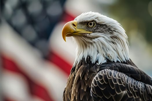 Bald eagle is staring at the camera with its beak open. The eagle is in front of an American flag