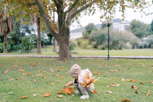 Little girl with a bouquet of orange leaves squatted behind a large maple leaf in a clearing. High quality photo