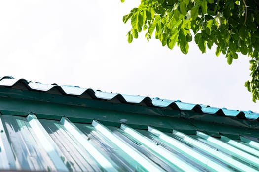 Close up of green zinc metal corrugated roof.