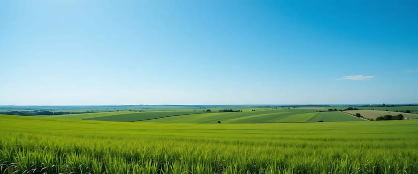 Rolling green fields stretch endlessly beneath a vast, tranquil sky. Gentle breezes whisper through the grass, as sunshine warms the earth. A serene calm embraces the horizon, evoking a sense of peaceful freedom and endless possibility.