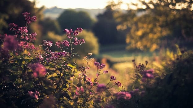 Cotswolds cottage and garden in the English countryside style, modern architecture and design idea