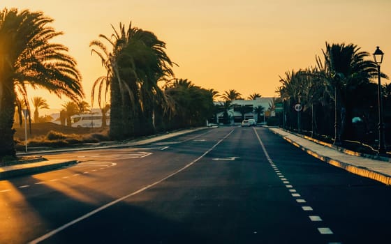 Asphalt road, highway among palm trees in the rays of the sun at sunset. Traveling to tropical volcanic islands in the Atlantic Ocean.