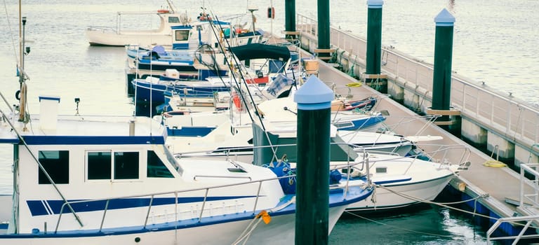 White stylish boats and yachts in a bay of the Atlantic Ocean, close-up view, vacation on the islands at sea, seascape with fishing boats.