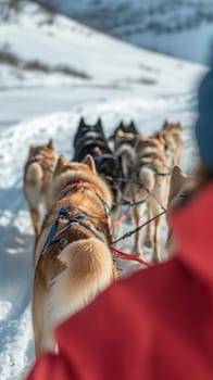 Team of sled dogs pulling sled through snowy mountain landscape with musher