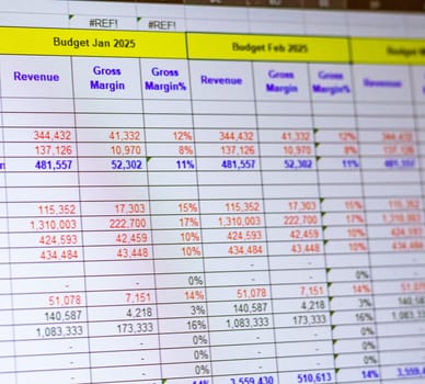 Shot of a computer screen showing excel table with company budget open