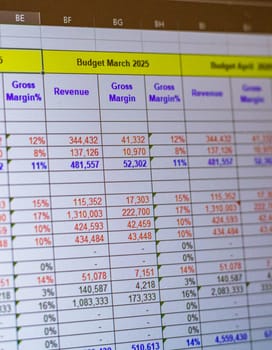 Shot of a computer screen showing excel table with company budget open
