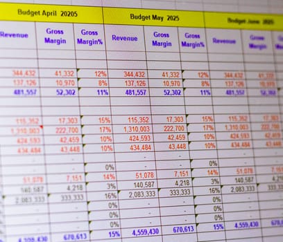 Shot of a computer screen showing excel table with company budget open