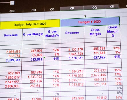 Shot of a computer screen showing excel table with company budget open