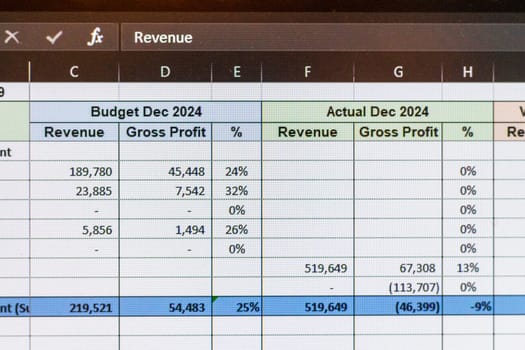 Shot of a computer screen showing excel table with company budget open