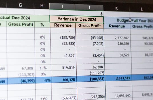 Shot of a computer screen showing excel table with company budget open