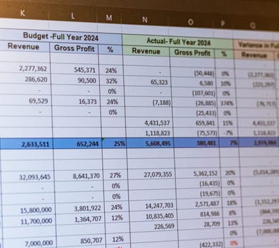 Shot of a computer screen showing excel table with company budget open