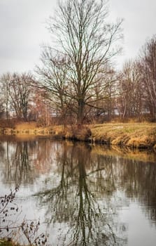 Shot of the river at autumn