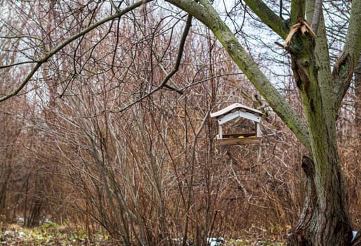 Concept shot of the bird feeder in the winter park
