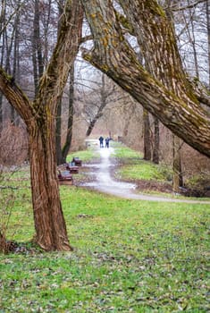 People walk their dogs out in the winter park