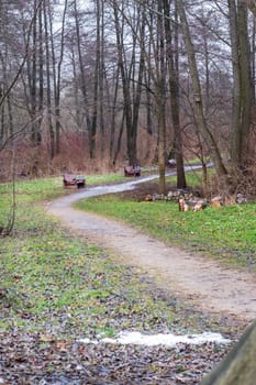 Shot of the autumn park