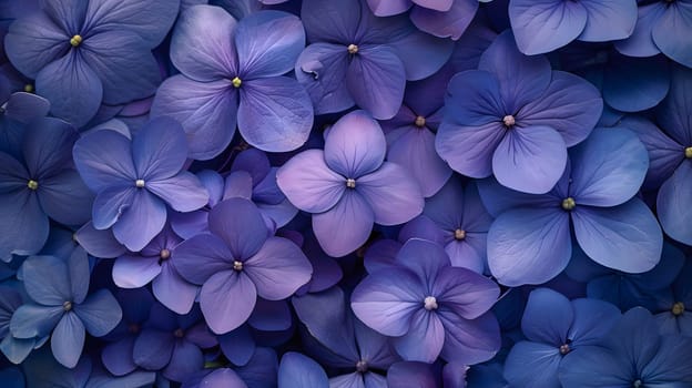 A closeup image capturing the vibrant hues of violet, electric blue, and magenta petals of a flowering plant. The window into the intricate beauty of purple flowers