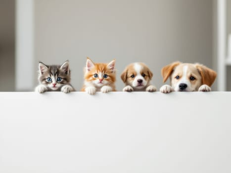 Group of two kittens and two puppies peeking out from behind a white banner, looking at the camera with curiosity and playfulness, creating a heartwarming and adorable scene