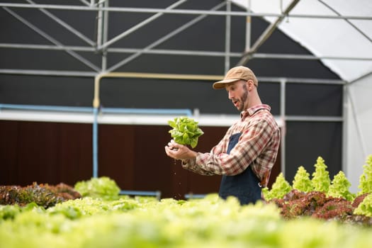 A gardener joyfully inspects freshly harvested organic vegetables inside a greenhouse, showcasing sustainable farming practices.