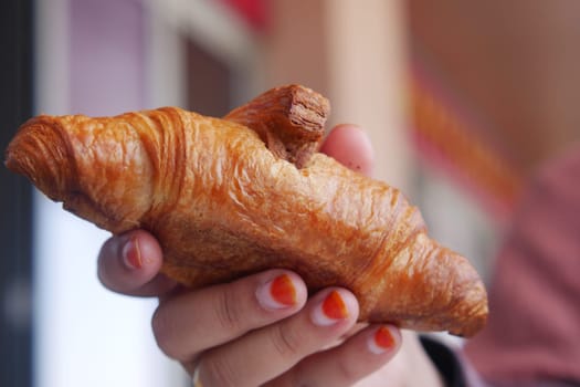 hand holding a fresh baked croissant ,
