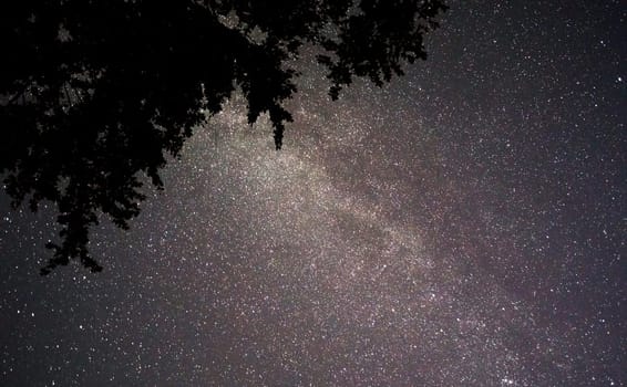 A Magical and Beautiful milkyway pictures