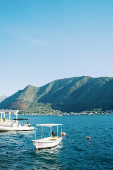 Excursion boats moored in the sea opposite the mountains. High quality photo