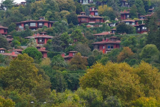 A picturesque hillside with charming redroofed homes surrounded by vibrant, colorful foliage