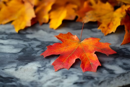 Autumn leaves, vibrant orange and red, rest on a gray stone surface. Nature's beauty in fall.