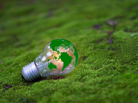 Concept of renewable energy, environmental protection, and sustainable renewable energy sources. Green world map on a light bulb set on a background with green moss. Green energy.