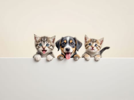 Two playful kittens and a cheerful puppy holding a blank white sign with their paws, sticking out their tongues against a soft light brown background, exuding cuteness and joy