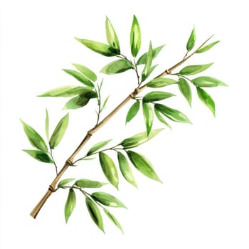 A Watercolor style depiction of bamboo branch with vibrant green leaves, showcasing nature beauty and tranquility