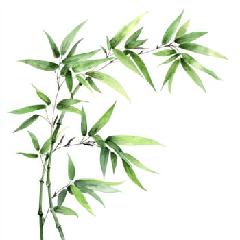 A Watercolor bamboo branch with vibrant green leaves, showcasing nature beauty and tranquility